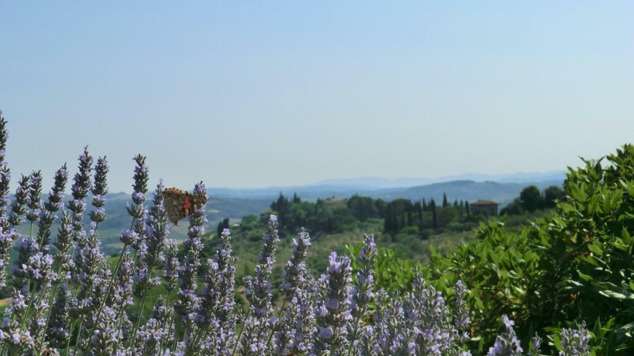 Appartamenti Ava E Tegrino Nell'Antica Dimora Di Fulignano San Gimignano Exterior foto